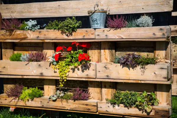 Como adaptar o cultivo de raízes em caixas e baldes reaproveitados