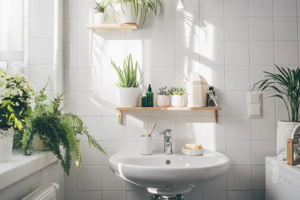 Ideias criativas para decorar pequenos espaços com plantas