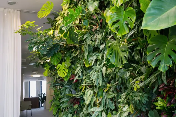 Jardim na parede: inspirações de jardins verticais para apartamentos