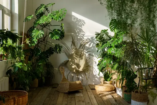 Como Combinar Estilos de Decoração com Tipos de Plantas Urbanas: Guia Prático para Criar Ambientes Harmoniosos
