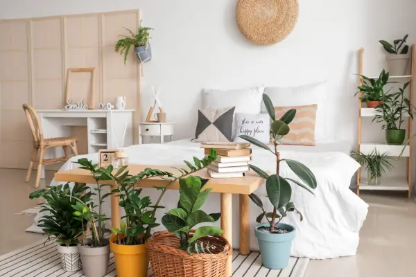 Dicas para iluminar sua decoração com plantas em ambientes internos