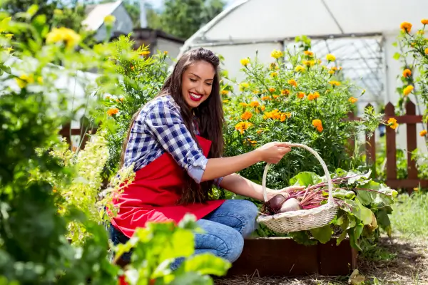 7 Erros Comuns no Cultivo Urbano e Como Evitá-los