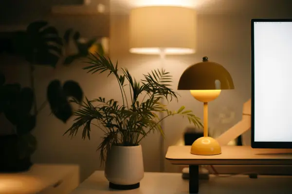 Plantas Ideais para Ambientes com Pouca Luz Natural: Como Criar um Espaço Verde Mesmo em Ambientes Sombrios