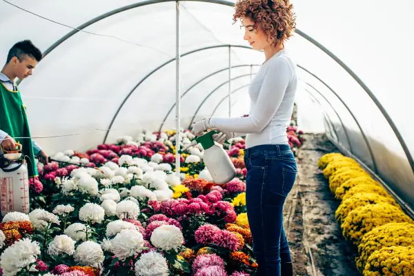 Como Identificar e Tratar Pragas Comuns em Jardins Urbanos