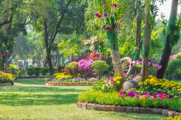 Como adaptar os cuidados das plantas às estações do ano